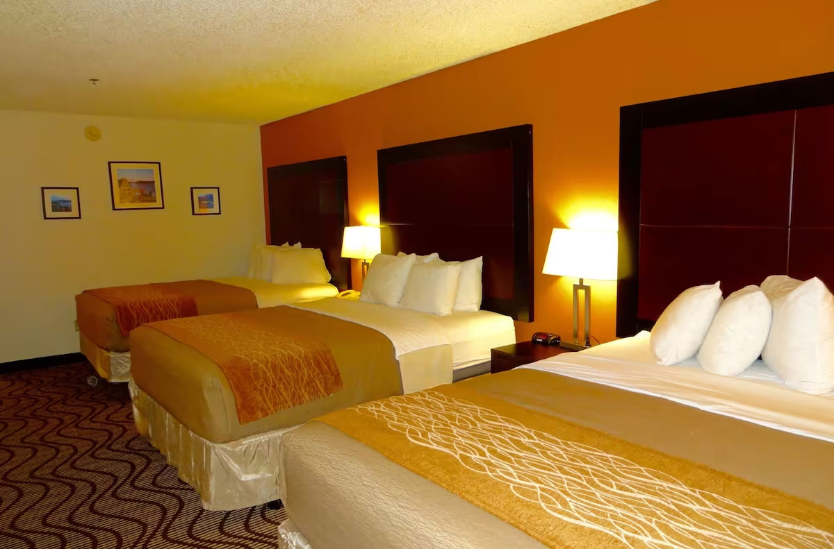 酒店客房設計細節的全面知識點解讀